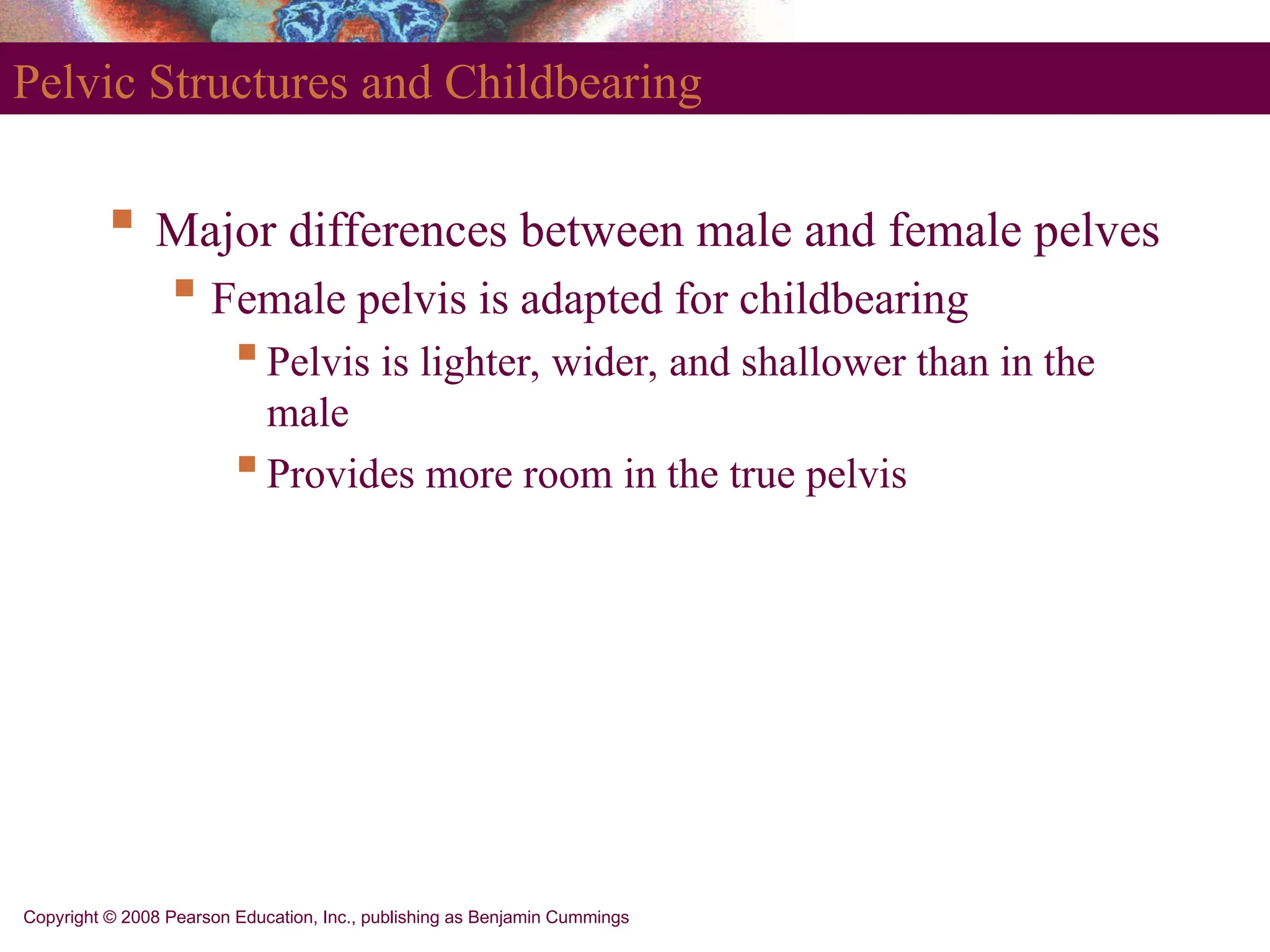 Copyright © 2008 Pearson Education, Inc., publishing as Benjamin Cummings
Pelvic Structures and Childbearing
 Major differences between male and female pelves
 Female pelvis is adapted for childbearing
Pelvis is lighter, wider, and shallower than in the
male
Provides more room in the true pelvis
 