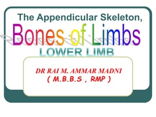 DR RAI M. AMMAR MADNI
( M.B.B.S , RMP )
The Appendicular Skeleton,
 