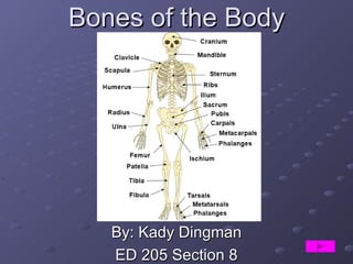 Bones of the Body By: Kady Dingman ED 205 Section 8 