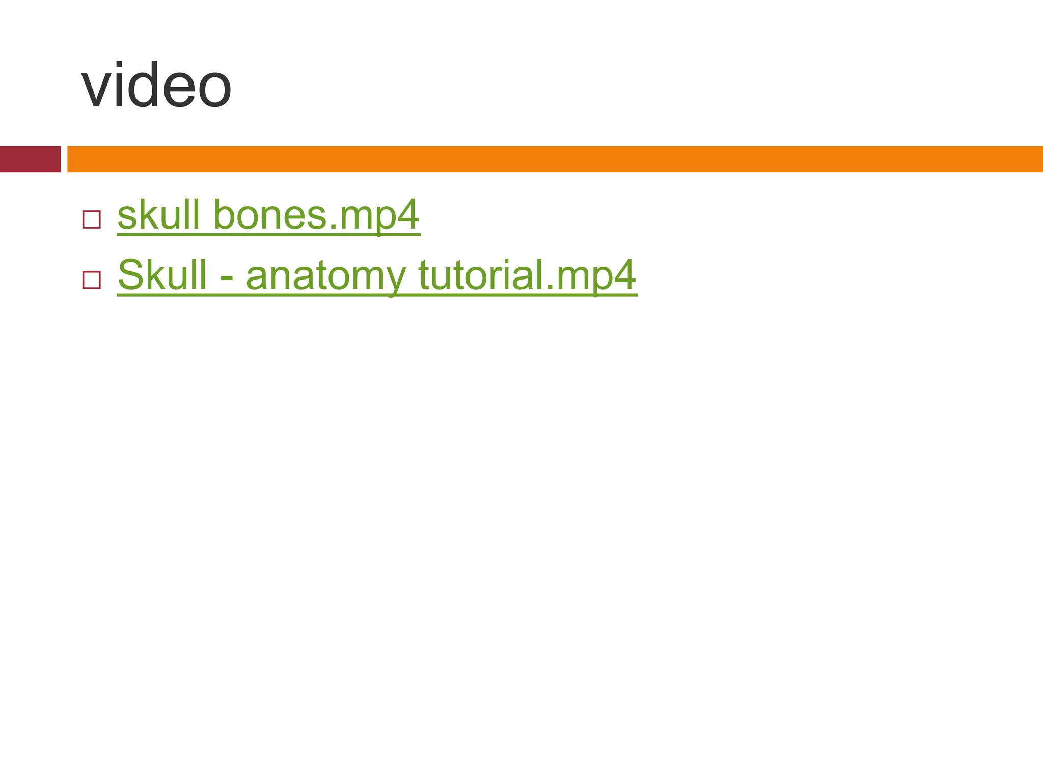 video
 skull bones.mp4
 Skull - anatomy tutorial.mp4
 