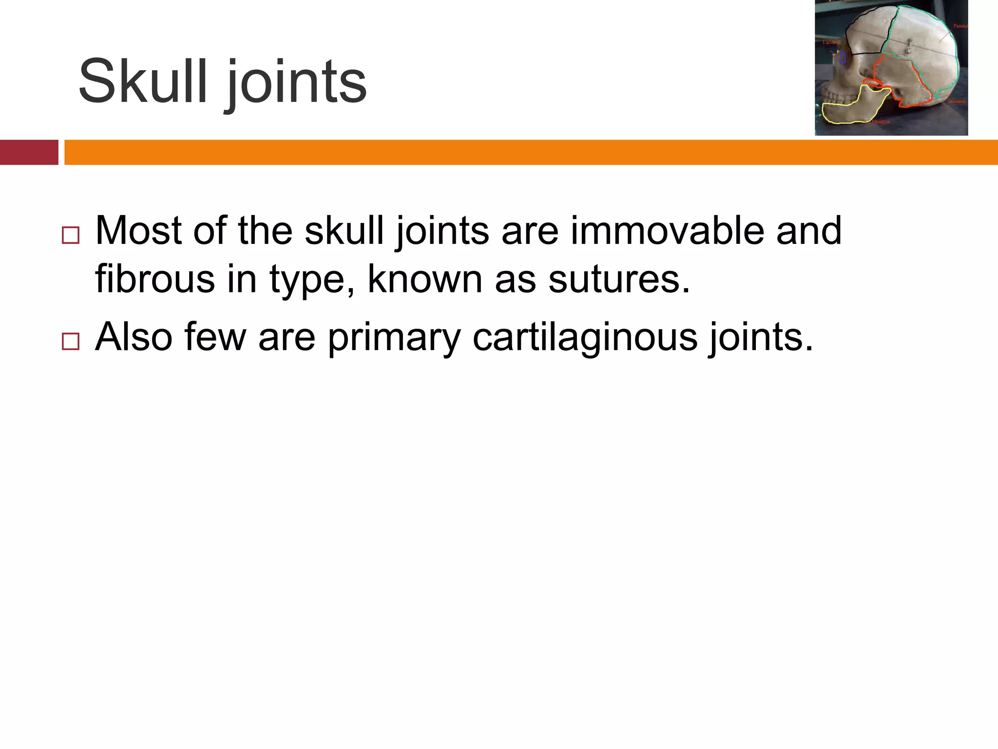 Skull joints
 Most of the skull joints are immovable and
fibrous in type, known as sutures.
 Also few are primary cartilaginous joints.
 