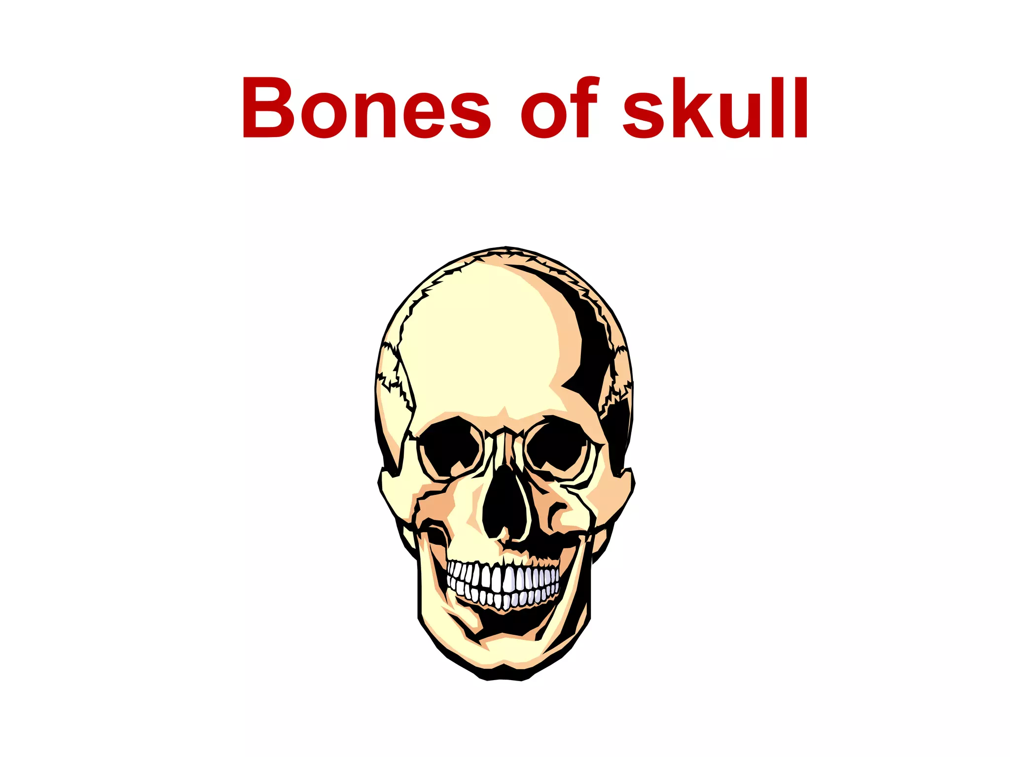Bones of skull
 