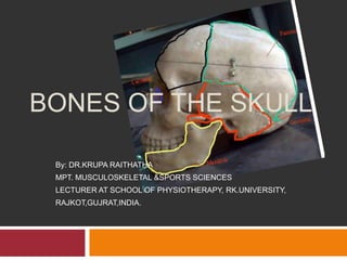 BONES OF THE SKULL
By: DR.KRUPA RAITHATHA
MPT. MUSCULOSKELETAL &SPORTS SCIENCES
LECTURER AT SCHOOL OF PHYSIOTHERAPY, RK.UNIVERSITY,
RAJKOT,GUJRAT,INDIA.
 