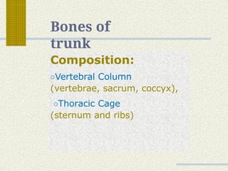 bonesoftrunk.,trunk, anatomy,,,,,,,,pptx | PPTX