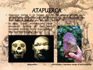 • Atapuerca started to be famous all over the world when two Homo 
heidelbergensis skulls who lived 300,000 years ago were discovered (they 
were called “Agamenón” and “Miguelón”) in 1992. 
• In Gran Dolina, archaeologists have 
discovered remains of the oldest 
European hominid: Homo Antececessor, 
who lived 800,000 years ago. 
«Miguelón» «Excalibur», handaxe made of red quartzite 
 