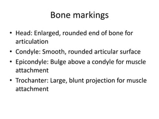 Bone structure | PPTX