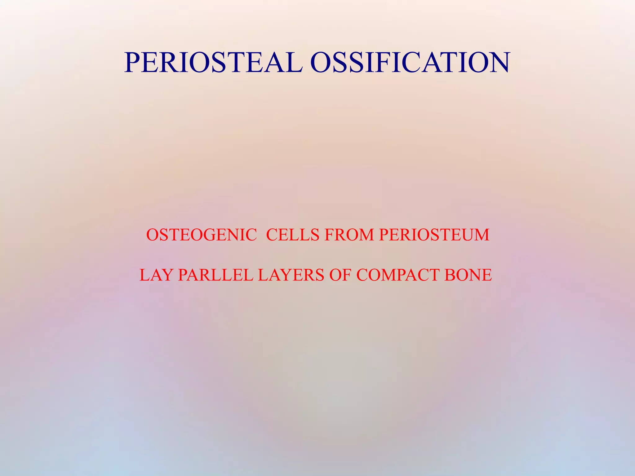 PERIOSTEAL OSSIFICATION 
OSTEOGENIC CELLS FROM PERIOSTEUM 
LAY PARLLEL LAYERS OF COMPACT BONE 
 