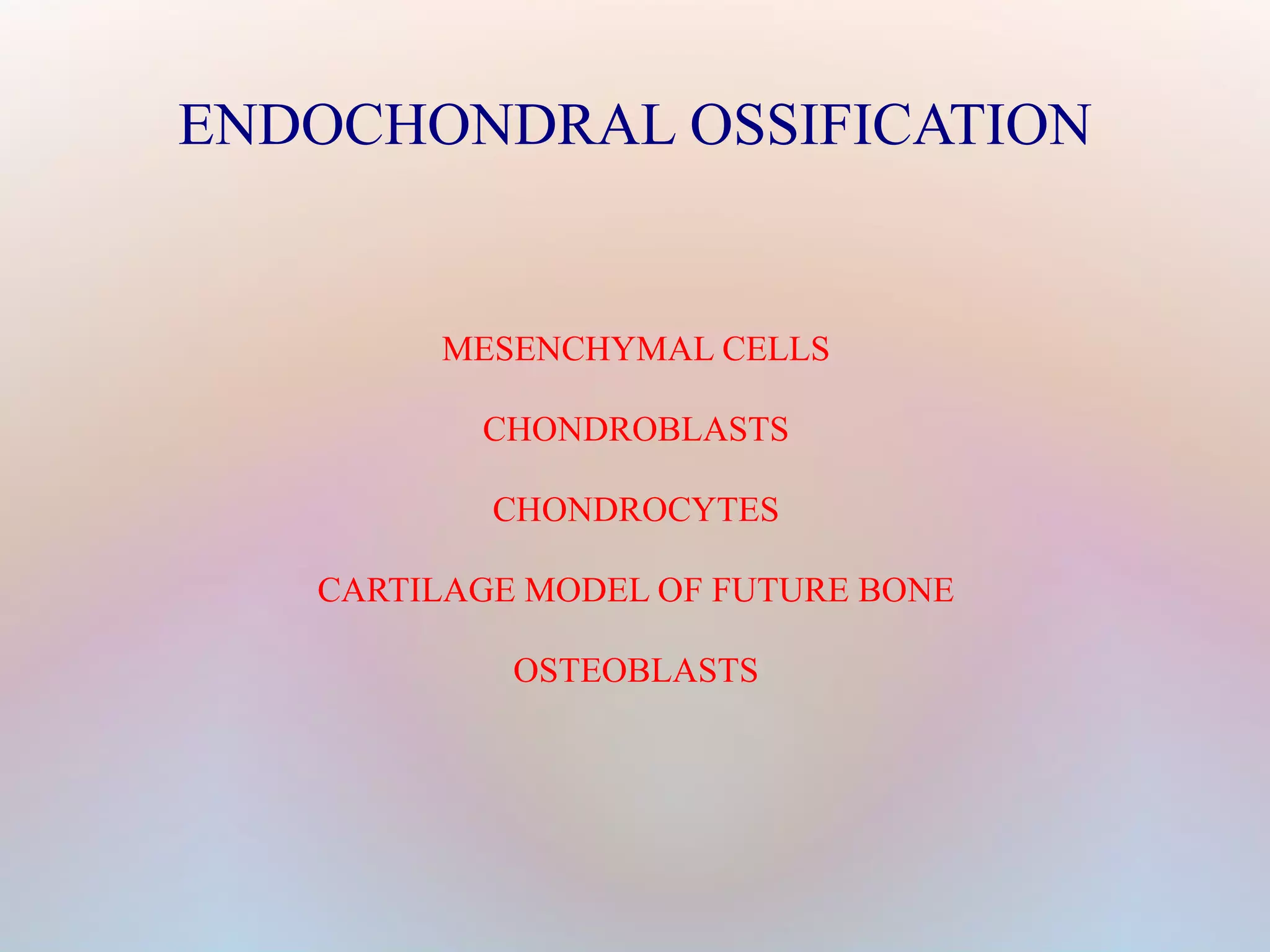 ENDOCHONDRAL OSSIFICATION 
MESENCHYMAL CELLS 
CHONDROBLASTS 
CHONDROCYTES 
CARTILAGE MODEL OF FUTURE BONE 
OSTEOBLASTS 
 