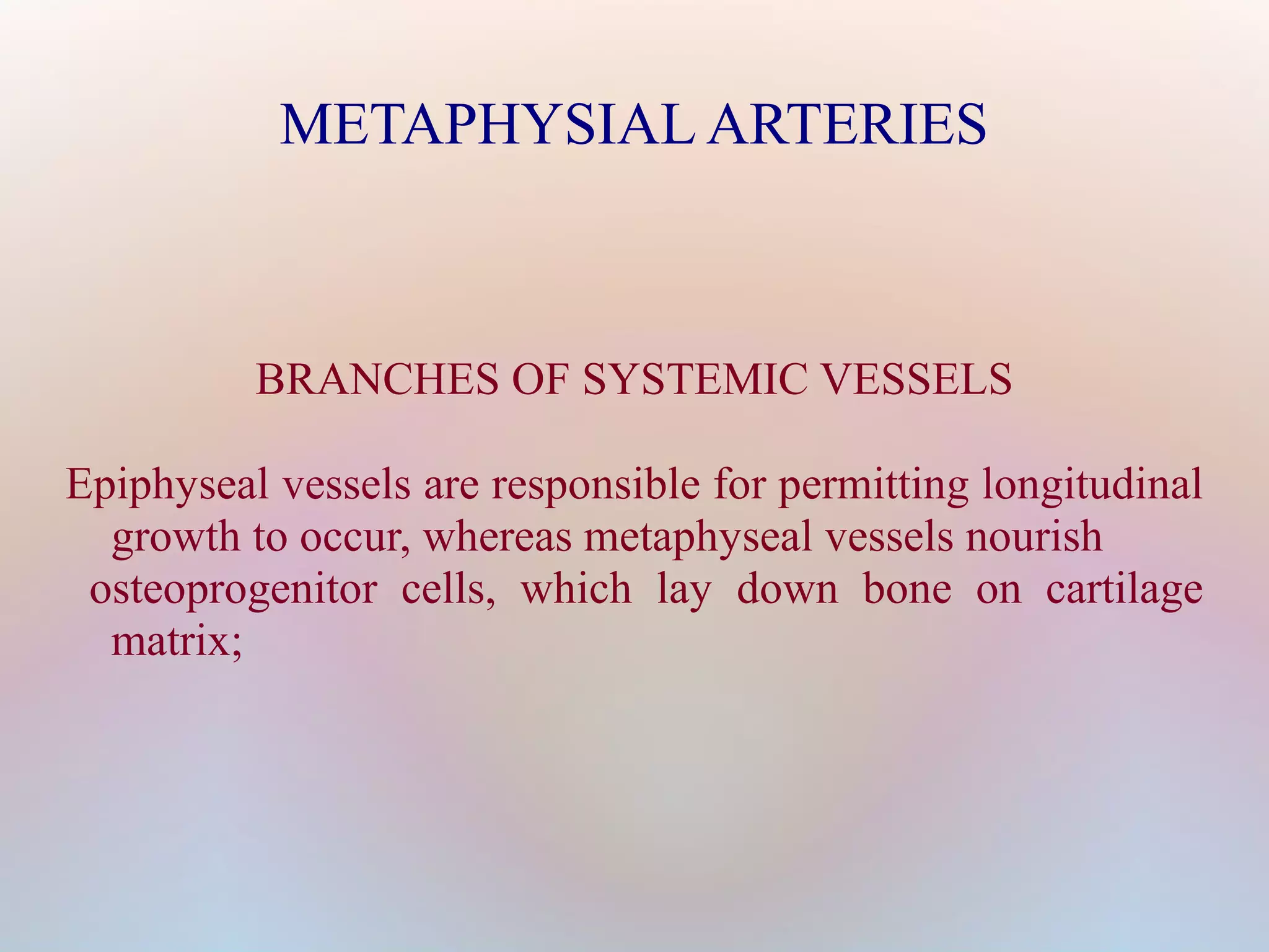 METAPHYSIAL ARTERIES 
BRANCHES OF SYSTEMIC VESSELS 
Epiphyseal vessels are responsible for permitting longitudinal 
growth to occur, whereas metaphyseal vessels nourish 
osteoprogenitor cells, which lay down bone on cartilage 
matrix; 
 