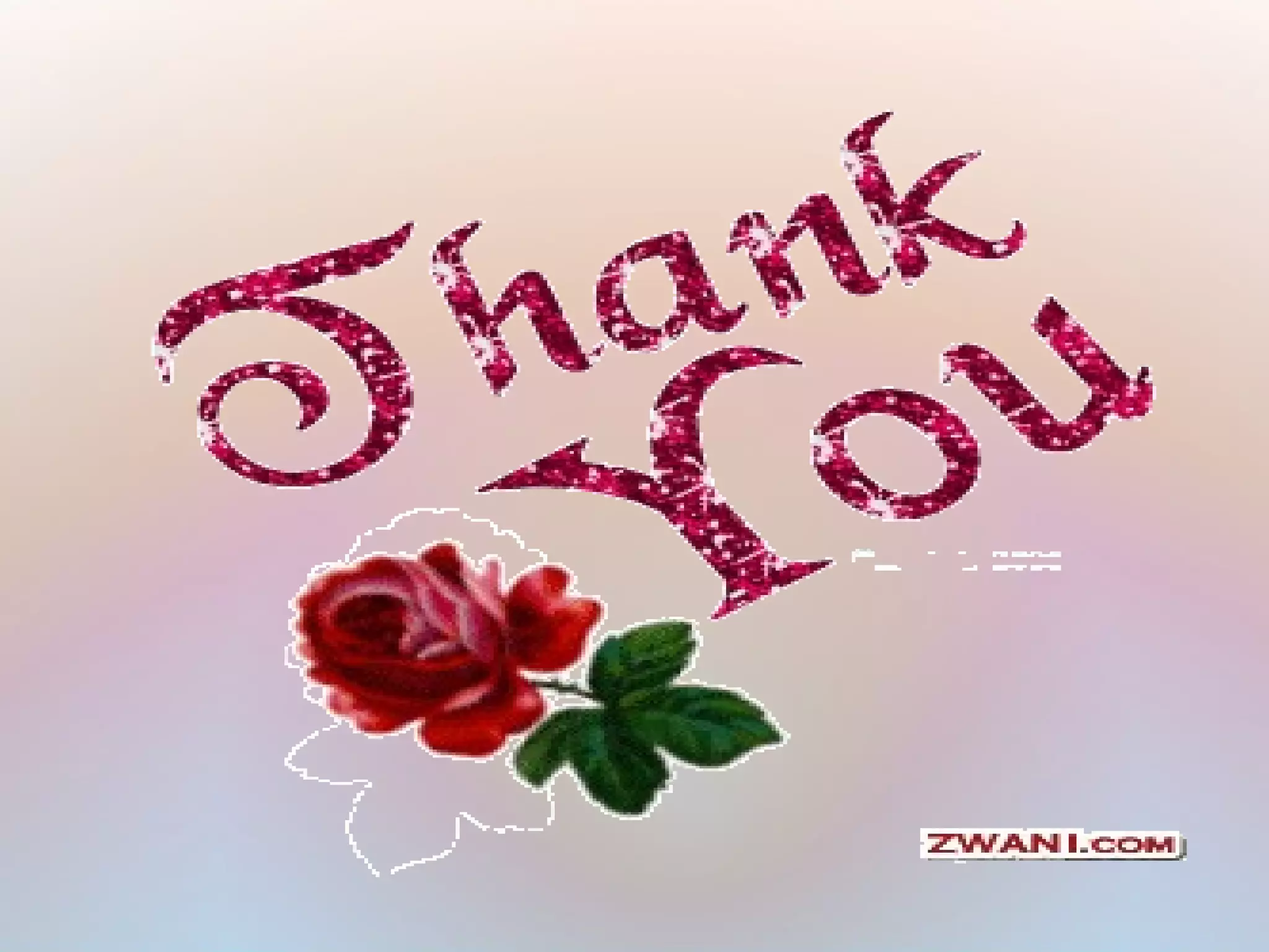 Bone structure and clinical importance