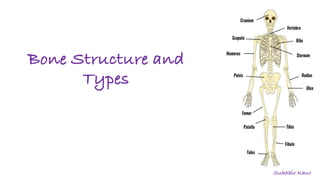 Bone Structure and
Types
Sukhbir Kaur
 