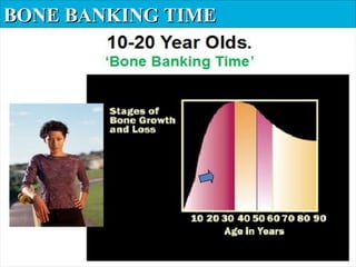 BONE BANKING TIMEBONE BANKING TIME
 