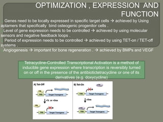 Gene therapy for bone engineering | PPTX