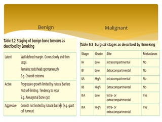 Benign Malignant
 