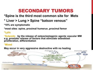 SECONDARY TUMORS
*Spine is the third most common site for Mets
* Liver > Lung > Spine “batson venous”
*10% are symptomatic
*most sites :spine, proximal humerus ,proximal femor
*Lytic
vascular MM
by the release of osteoclastogenic agents
*Sclerotic
e.g. prostate/ release of factors that stimulate osteoblast
proliferation, differentiation
*Mixed
May occur in very aggressive destructive with no healing
 