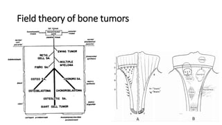 Field theory of bone tumors
 