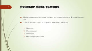 PRIMARY BONE TUMORS
 All components of bone are derived from the mesoderm  bone tumors
are
 potentially composed of any of its four stem cell types:
1. Fibroblast.
2. Chondroblast.
3. Osteoblast.
4. Reticulomylogenic cells.
3
 