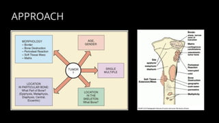 Bone tumors and tumor like lesions .pptx