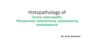 Histopathology of
Chronic osteomyelitis,
Fibrosarcoma, osteosarcoma, osteoclastoma,
ameloblastoma
DR. NEHA BANSERIA
 