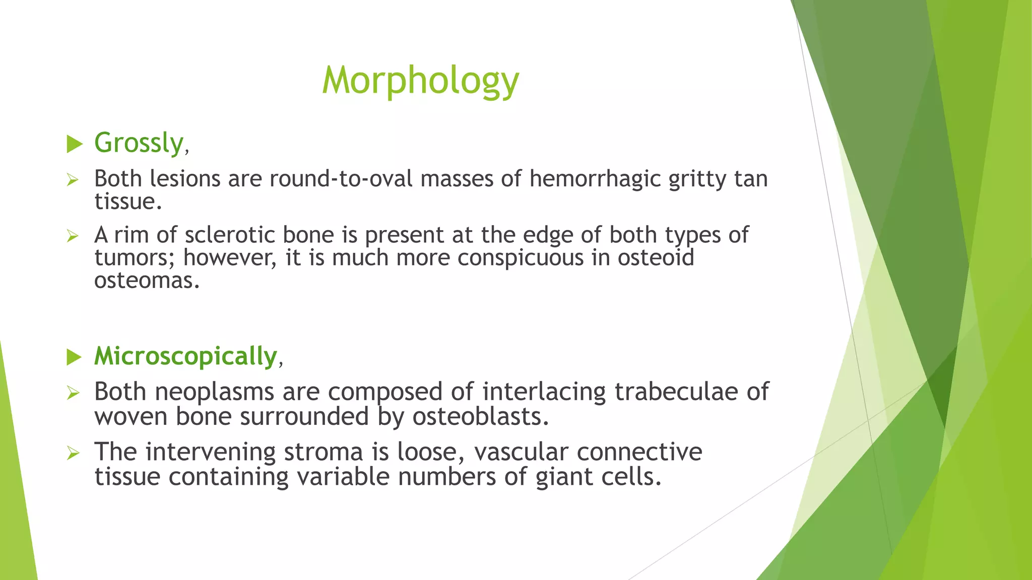 Morphology
 Grossly,
 Both lesions are round-to-oval masses of hemorrhagic gritty tan
tissue.
 A rim of sclerotic bone is present at the edge of both types of
tumors; however, it is much more conspicuous in osteoid
osteomas.
 Microscopically,
 Both neoplasms are composed of interlacing trabeculae of
woven bone surrounded by osteoblasts.
 The intervening stroma is loose, vascular connective
tissue containing variable numbers of giant cells.
 