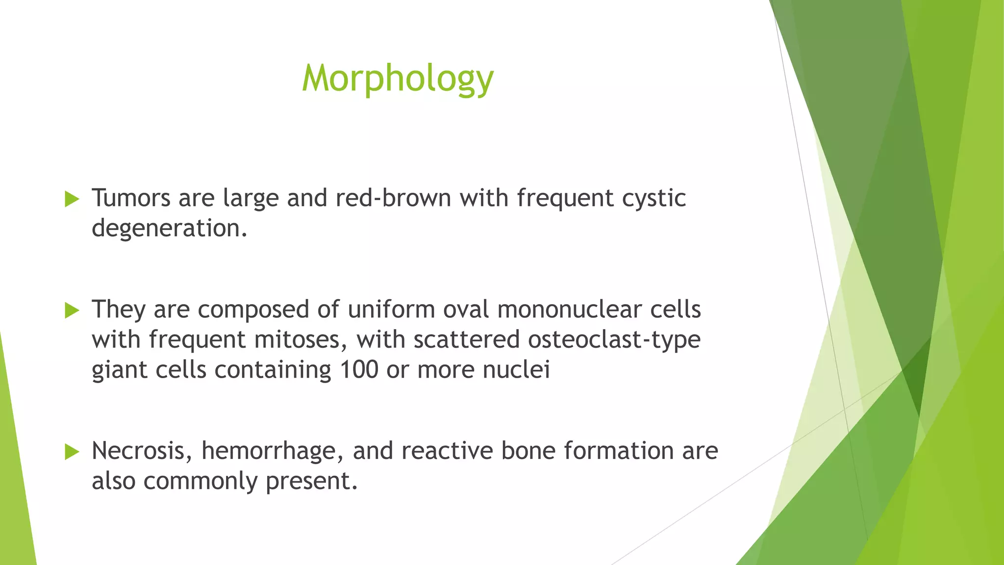 Morphology
 Tumors are large and red-brown with frequent cystic
degeneration.
 They are composed of uniform oval mononuclear cells
with frequent mitoses, with scattered osteoclast-type
giant cells containing 100 or more nuclei
 Necrosis, hemorrhage, and reactive bone formation are
also commonly present.
 