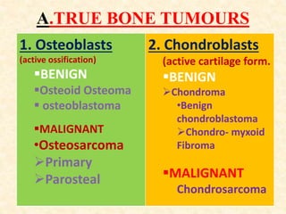 A.TRUE BONE TUMOURS
1. Osteoblasts
(active ossification)
BENIGN
Osteoid Osteoma
 osteoblastoma
MALIGNANT
•Osteosarcoma
Primary
Parosteal
2. Chondroblasts
(active cartilage form.
BENIGN
Chondroma
•Benign
chondroblastoma
Chondro- myxoid
Fibroma
MALIGNANT
Chondrosarcoma
 