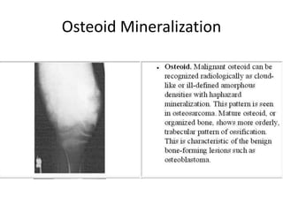 Osteoid Mineralization
 