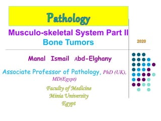 Manal Ismail Abd-Elghany
Associate Professor of Pathology, PhD (UK),
MD(Egypt)
Musculo-skeletal System Part II
Bone Tumors
 