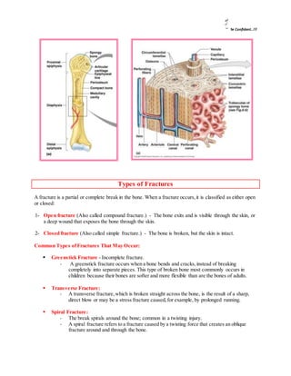 Bone, Type Of Bones, Type Of Fractures | DOCX