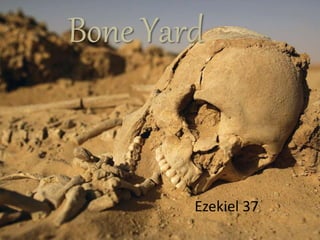 Bone Yard
Ezekiel 37
 