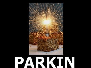 PARKIN 