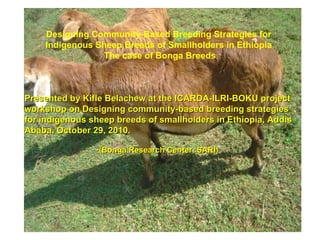 Designing Community-Based B reeding Strategies for Indigenous Sheep Breeds of Smallholders in Ethiopia The case of Bonga Breeds Presented by Kifle Belachew at the ICARDA-ILRI-BOKU project workshop on Designing community-based breeding strategies for indigenous sheep breeds of smallholders in Ethiopia, Addis Ababa, October 29, 2010. (Bonga Research Center, SARI) 