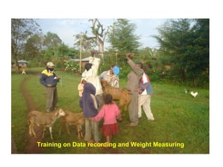 Designing community-based breeding strategies for indigenous sheep breeds of smallholders in Ethiopia:  The case of Bonga breeds