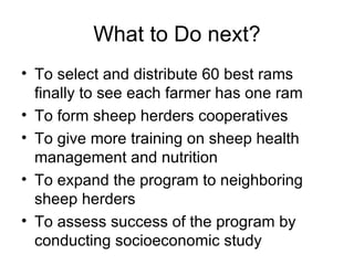 Designing community-based breeding strategies for indigenous sheep breeds of smallholders in Ethiopia:  The case of Bonga breeds