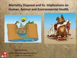 Mortality Disposal and its Implications on
Human, Animal and Environmental Health
Cornell Waste Management Institute
cwmi.css.cornell.edu
Jean Bonhotal
 
