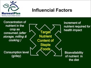 Consumption level
(g/day)
Increment of
nutrient required for
health impact
Concentration of
nutrient in the
crop as
consumed (after
storage, milling &
cooking )
Bioavailability
of nutrient in
the diet
Target
Nutrient
Content of
Staple
Foods
Influencial Factors
 