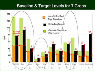 0
20
40
60
80
100
120
140
Pearl Millet Bean Bean Rice Rice Maiz Maiz Wheat Wheat Potato Sweetpotato
Fe Fe Zn Fe Zn Fe Zn Fe Zn Fe Fe
ppm
Baseline & Target Levels for 7 Crops
8
44
8
8
32
64
8
11
22 22
Non-Biofortified
Avg. Baseline
BreedingTarget
Genetic Variation
Discovered
30 Target
Increment
 