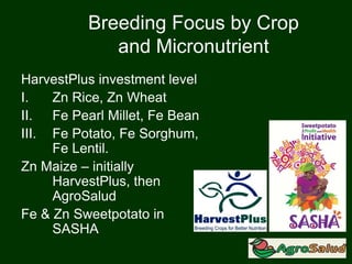 Breeding Focus by Crop
and Micronutrient
HarvestPlus investment level
I. Zn Rice, Zn Wheat
II. Fe Pearl Millet, Fe Bean
III. Fe Potato, Fe Sorghum,
Fe Lentil.
Zn Maize – initially
HarvestPlus, then
AgroSalud
Fe & Zn Sweetpotato in
SASHA
 
