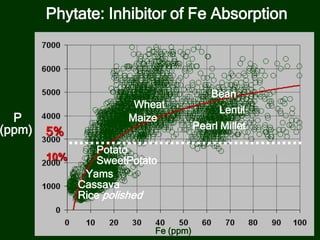Fe (ppm)
P
(ppm)
Rice polished
Maize
Wheat
Bean
Cassava
Potato
Lentil
Pearl Millet
Yams
Phytate: Inhibitor of Fe Absorption
5%
SweetPotato10%
 