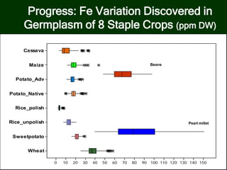 Progress: Fe Variation Discovered in
Germplasm of 8 Staple Crops (ppm DW)
Wheat
Sweetpotato
Rice_unpolish
Rice_polish
Potato_Native
Potato_Adv
Maize
Cassava
6050403020100
Wheat
Sweetpotato
Rice_unpolish
Rice_polish
Potato_Native
Potato_Adv
Maize
Cassava
1501401301201101009080706050403020100
Beans
Pearl millet
 