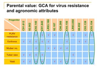 Sustaining and projecting genetic diversity: Potatoes adapted to changing needs Slide 31