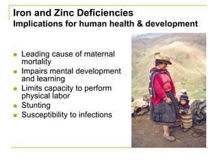 Sustaining and projecting genetic diversity: Potatoes adapted to changing needs Slide 44