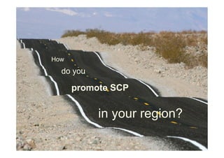 How
  do you

      promote SCP

           in your region?

                             www.rec.org
 