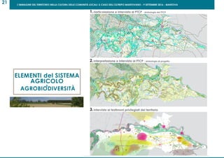 L’IMMAGINE DEL TERRITORIO NELLA CULTURA DELLE COMUNITÀ LOCALI: IL CASO DELL’OLTREPO MANTOVANO - 9 SETTEMBRE 2016 - MANTOVA
21
ELEMENTI del SISTEMA
AGRICOLO
&
AGROBIODIVERSITÀ
 