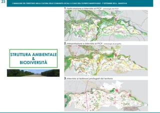 L’IMMAGINE DEL TERRITORIO NELLA CULTURA DELLE COMUNITÀ LOCALI: IL CASO DELL’OLTREPO MANTOVANO - 9 SETTEMBRE 2016 - MANTOVA
23
STRUTTURA AMBIENTALE
&
BIODIVERSITÀ
 
