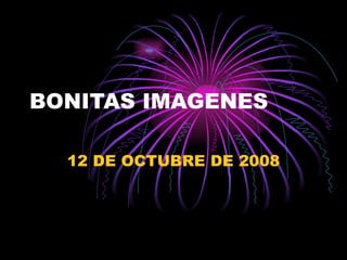 BONITAS IMAGENES 12 DE OCTUBRE DE 2008 