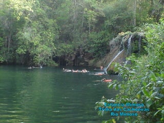 Estância Mimosa Trilha das Cachoeiras Rio Mimoso 