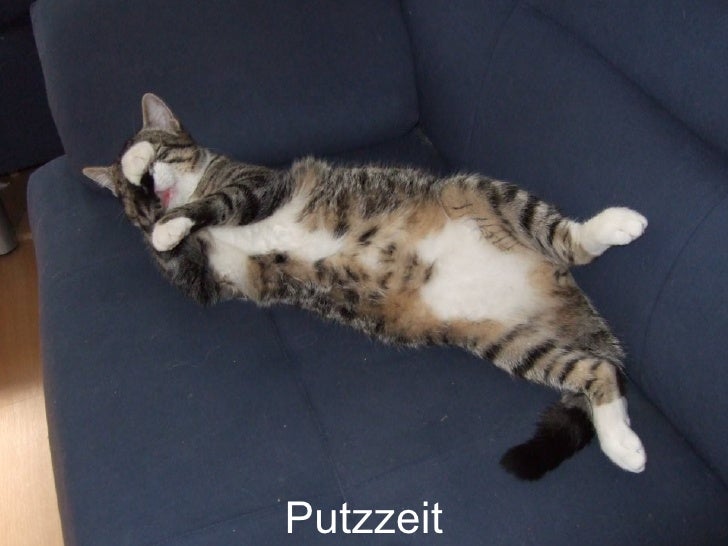 Ich komm da schon irgendwie rüber …