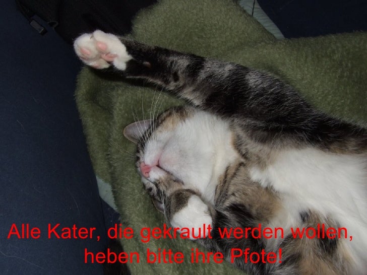 … und da bin ich auch schon drüben!