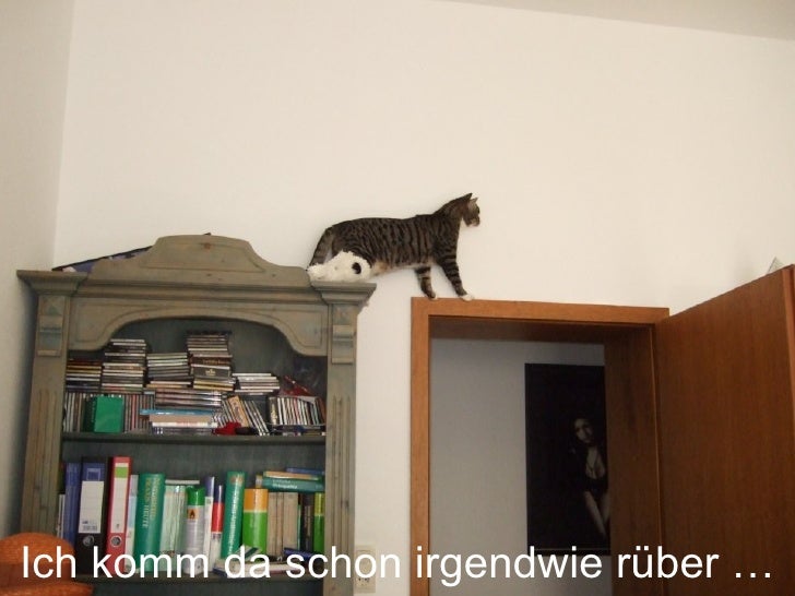 Ich seh dich, du Fliege…
und kriegen tu ich dich auch!